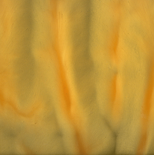 PAPAYA | Epoxy ETC